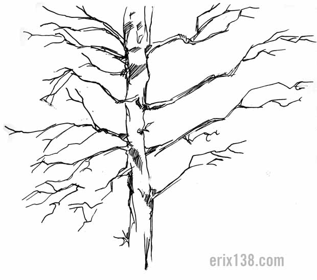 Tree ink drawing branches