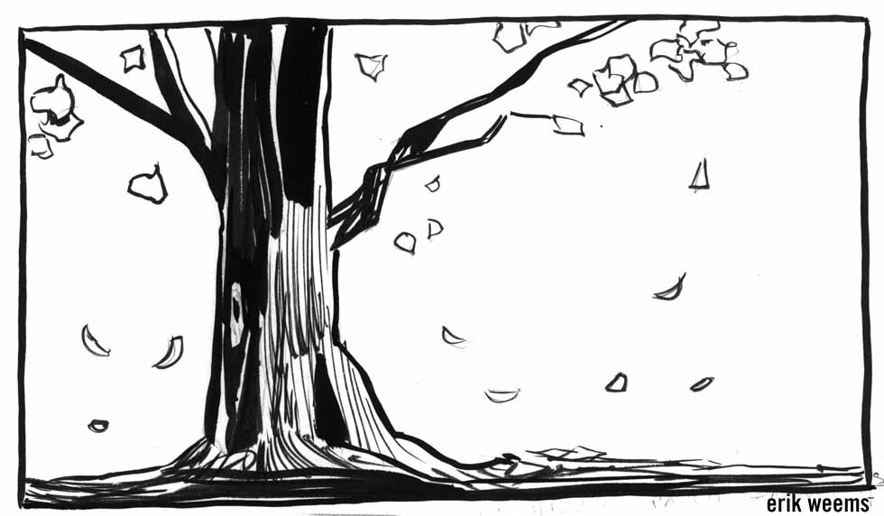Tree Ink Drawing Fall