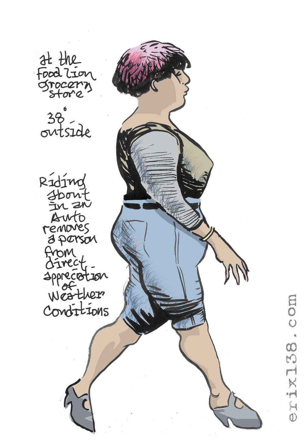 2009-12-24-food-lion.jpg