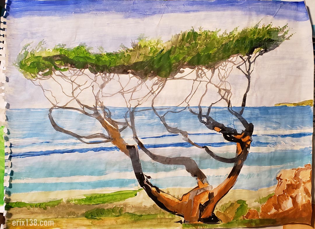 Color sketch Monterey Cypress