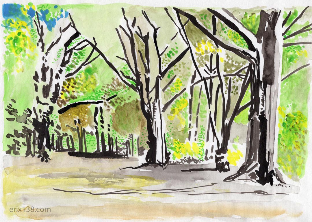 Lagoon trees SB210